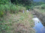 sagy01.jpg