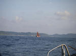 henn03.jpg