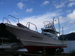 dock11.jpg