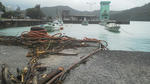 taif04.jpg