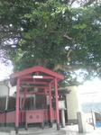 20110817095311.jpg