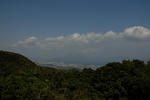 DSC_01120100.jpg