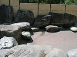 dc062430.JPG