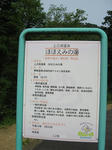 dc050847.JPG