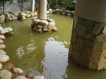 dc050842.JPG