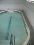 IMG_01530152.jpg