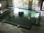 dc091729.JPG