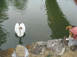 dc031311.JPG