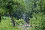 resize0124.jpg