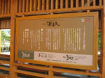 IMG_1887.JPG