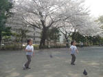 50408.jpg