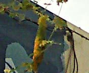 dia_090921_1.jpg