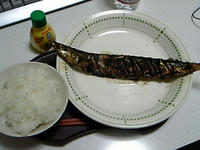 秋刀魚