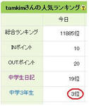 ブログ村のランキング☆