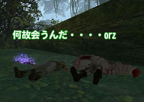 0b079687.jpg