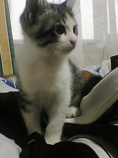 PA0_0244.JPG