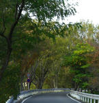 7a0b61d6.jpg