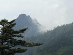 cf207881.jpg