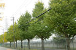 8675cf84.jpg
