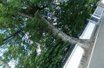 e049b143.jpg