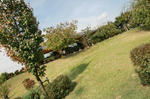988e5036.jpg