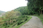 a70495df.jpg