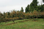 56a01f51.jpg