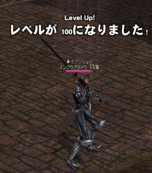 レベルが100に・・・