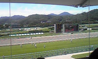 小倉競馬場
