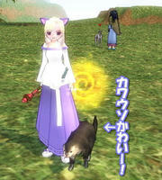 (*￣∀￣)