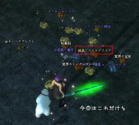 ブラッドファングから