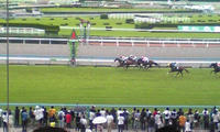 小倉競馬場