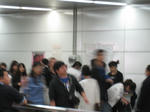 IMG_5531.JPG