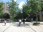 IMG_6923.JPG