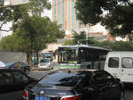 IMG_7207.JPG