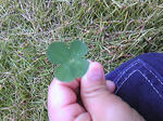 111106_123202.jpg