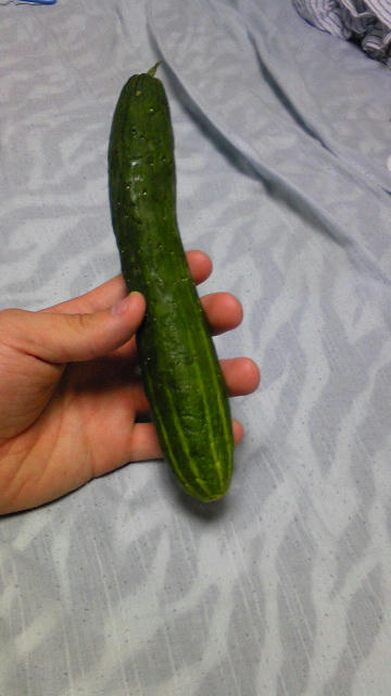 100805_213038.jpg