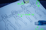 P1010007.gif
