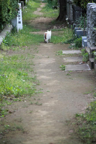 IMG_2174_01_R.JPG