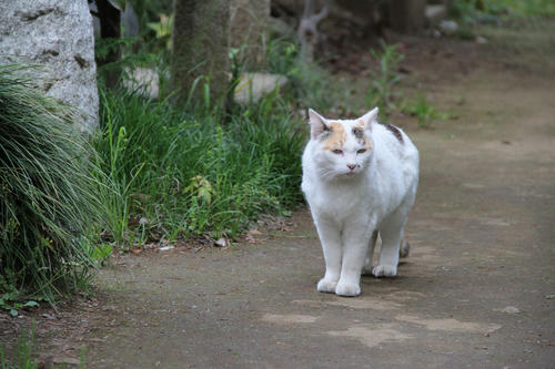 IMG_2176_R.JPG