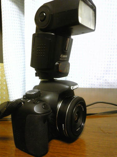 SH370282_R.jpg