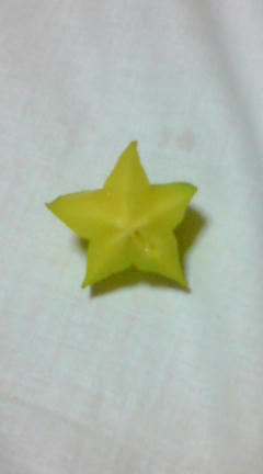 星の果実さま