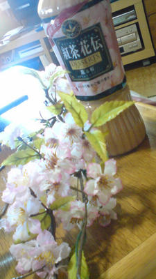 桜尽くしッ！