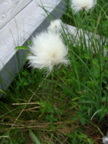 DSC01846.jpg