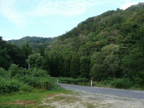 DSC01975.jpg