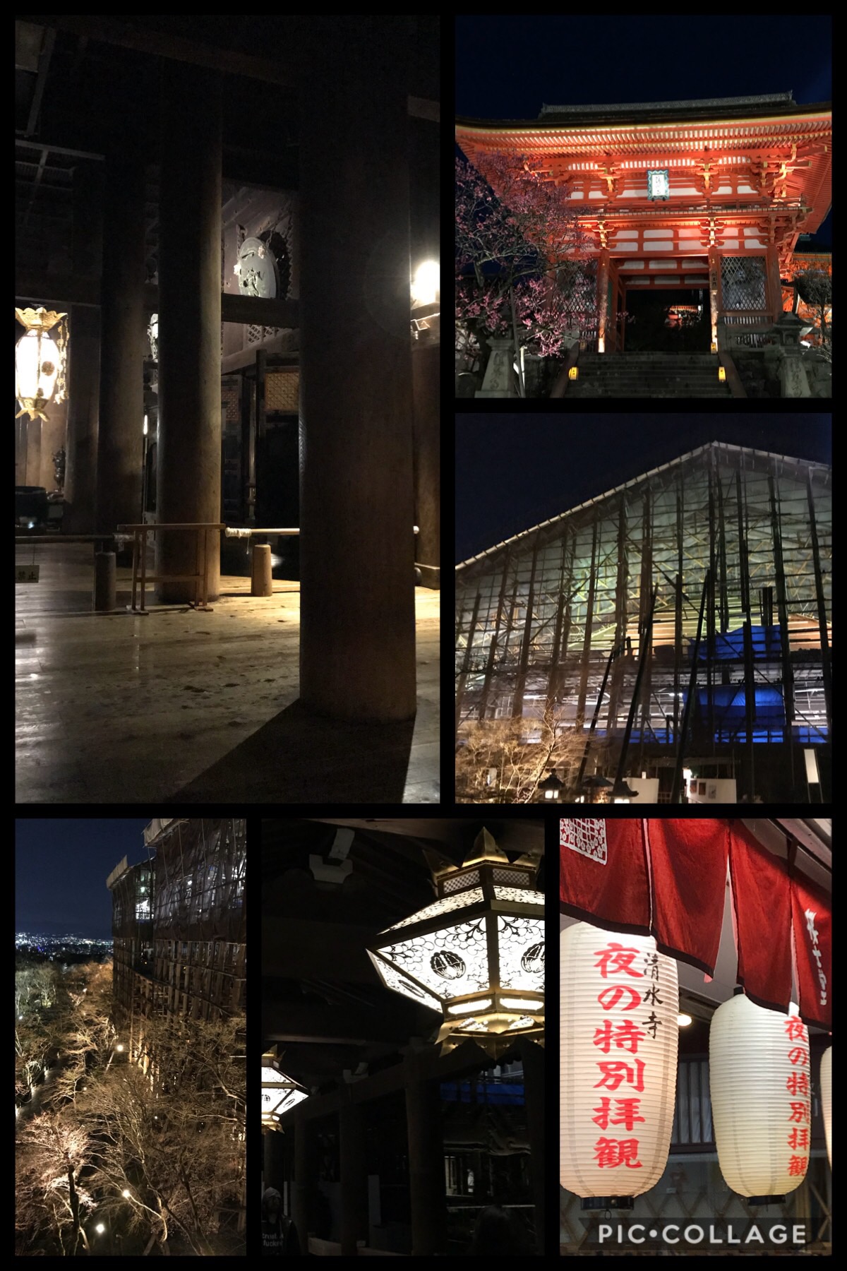 東山花灯路2019/