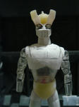 DSC01620.JPG