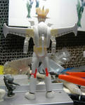 DSC01714.JPG