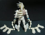 DSC01748.JPG