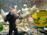 DSC01989.JPG